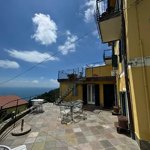 Pz Guest house